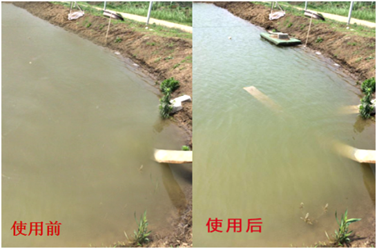 渾濁水、對蝦吃料差怎么處理？